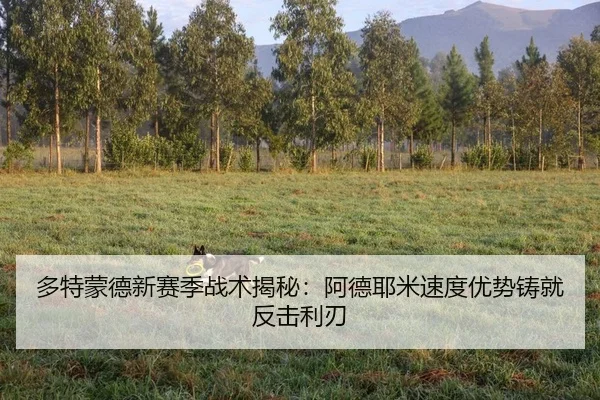 duo-te-meng-de-xin-sai-ji-zhan-shu-jie-mi-a-de-ye-mi-su-du-you-shi-zhu-jiu-fan-ji-li-ren-2-953.jpg